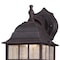 Westinghouse Westinghouse Patina Bronze Switch LED Lantern Fixture 64000 - alternate 4
